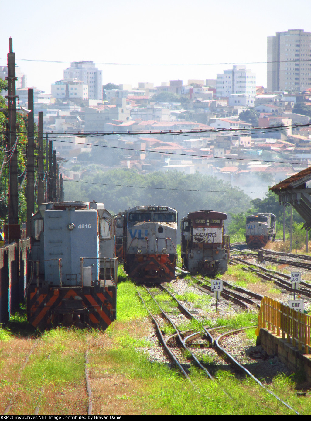 VLI 4816